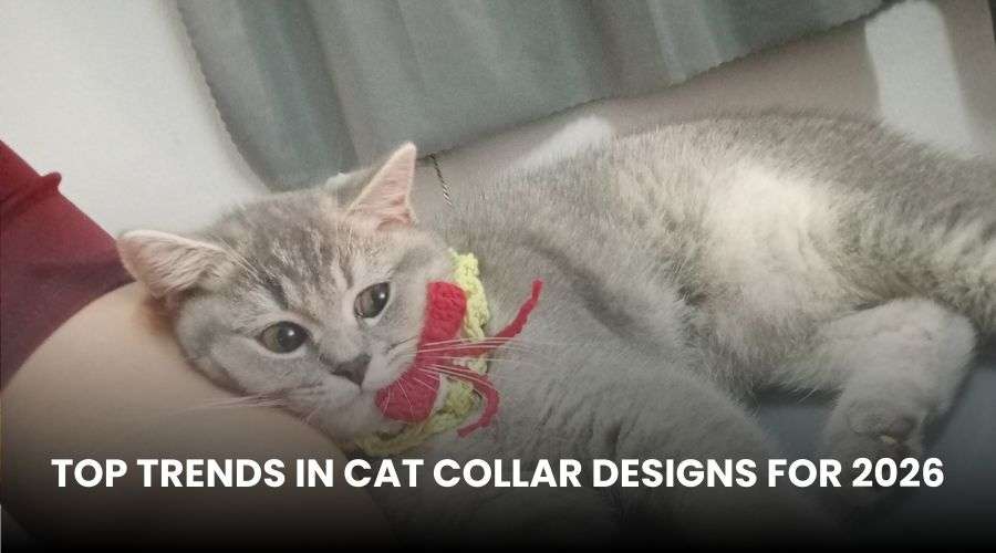 Top Cat Collar Trends for 2026: What Pet Stores Should Stock