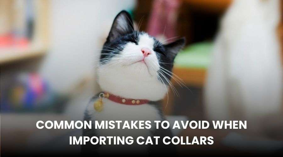 Common Mistakes to Avoid When Importing Cat Collars - Expert Tips & Insights