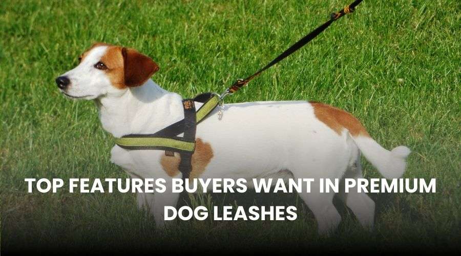 Top Features Buyers Want in Premium Dog Leashes
