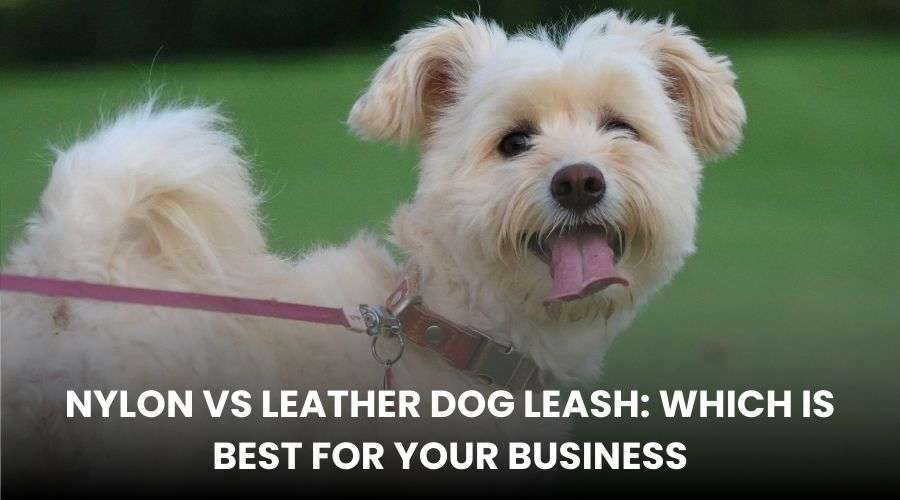 Nylon vs Leather Dog Leash: Which is Best for Your Business