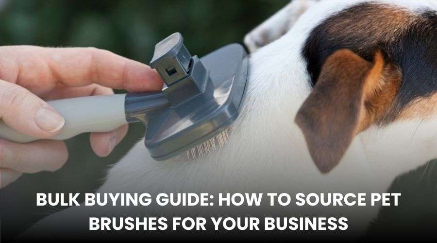 Bulk Buying Guide on How to Source Pet Brushes for Your Business