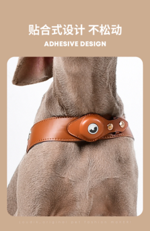 Eco Leather Dog Harness with Gold Metal Hardware
