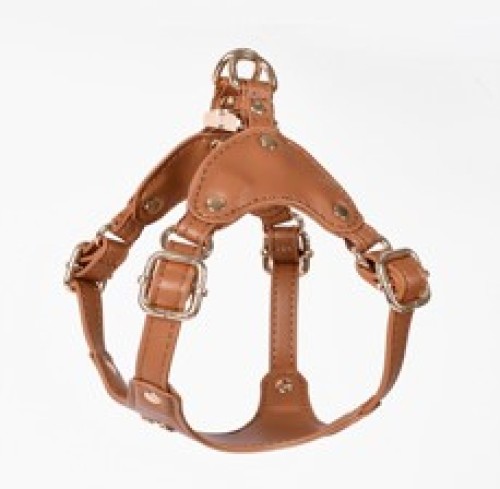 Premium EO Leather Dog Harness Adjustable Comfort Fit for Small, Medium & Large Dogs