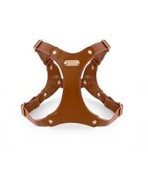Premium EO Leather Dog Harness Adjustable Comfort Fit for Small, Medium & Large Dogs