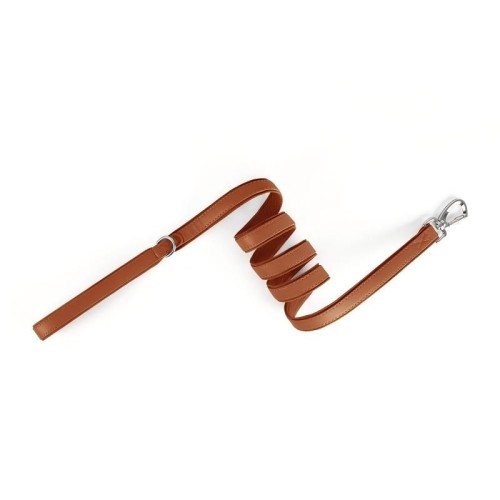 Dogs Leash-LDK-PC-A05L