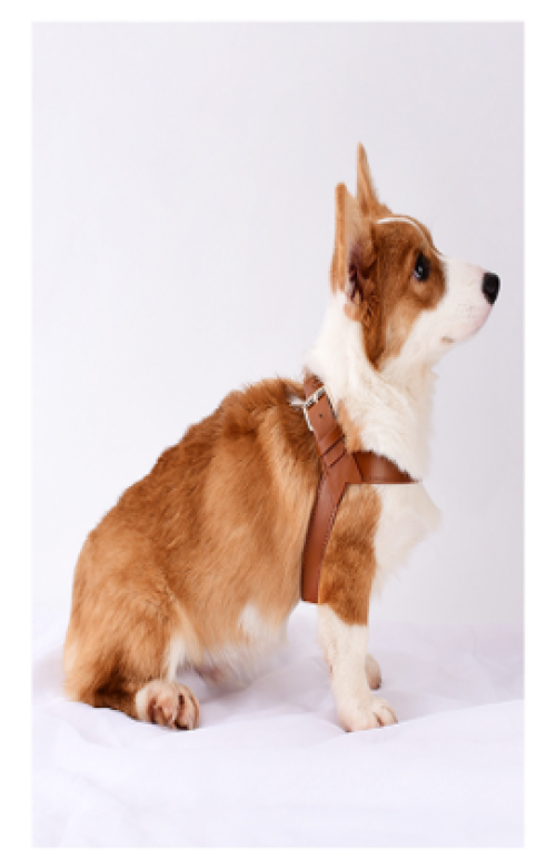 Eco-Friendly Leather Dog Harness with Thick Rope & Metal Hardware Perfect for Walks