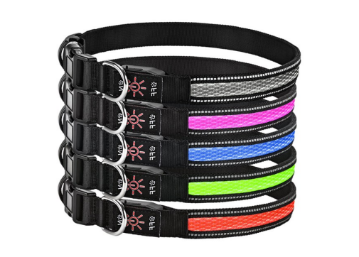 Rechargeable LED Nylon Dog Collar